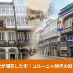 スペイン・ガリシア州ア・コルーニャにあるピカソの家博物館の外観。パブロ・ピカソが少年時代を過ごした場所。