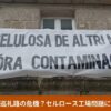 ガリシアの巡礼路とセルロース工場問題の廃案を伝えるブログ記事のアイキャッチ画像