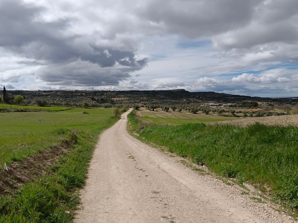 チンチョンの町をでてすぐ始まるオリーブオイルの木を見ながらのハイキングコース