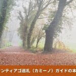 冬（オフシーズン）のサンティアゴ巡礼路と標識