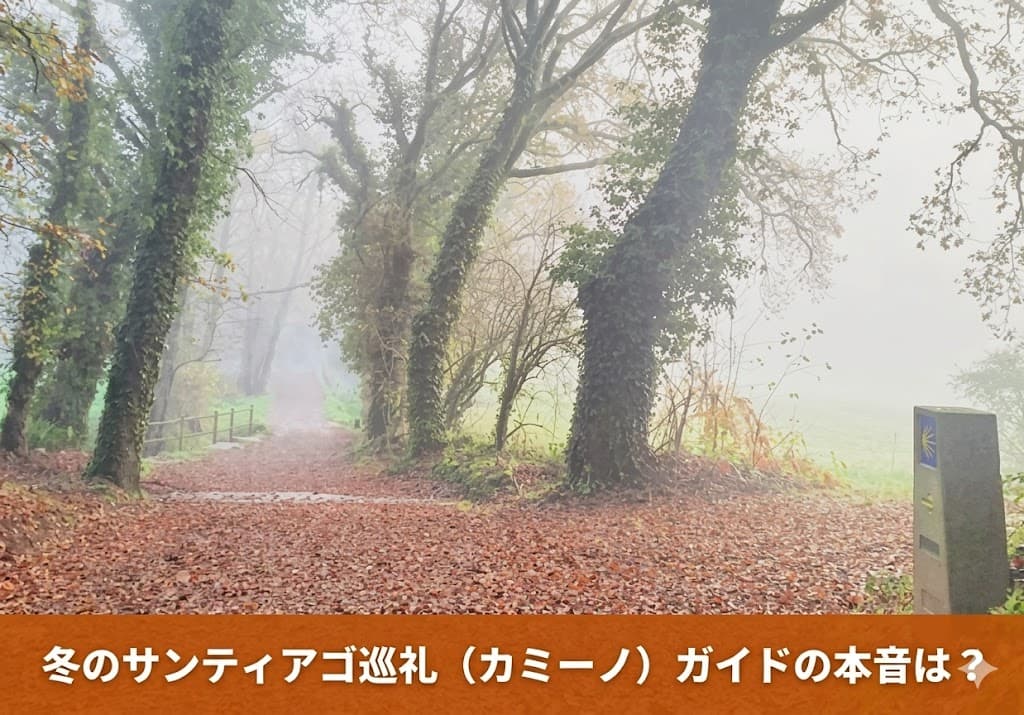 冬（オフシーズン）のサンティアゴ巡礼路と標識