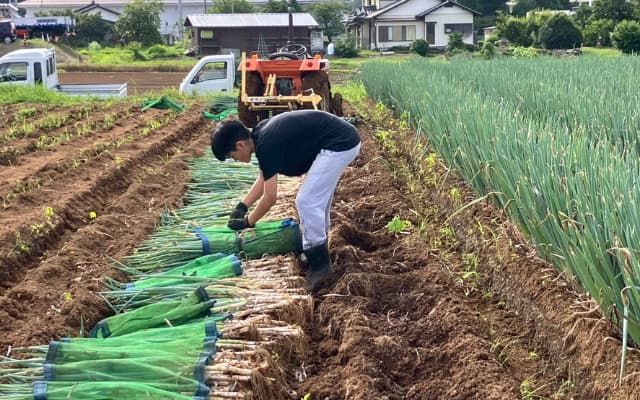 埼玉県鳩山町のネギ農家で働く息子